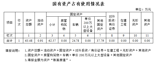 国有资产占有使用情况表