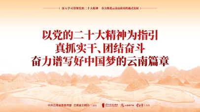 深入学习贯彻党的二十大精神 奋力推进云南高质量跨越式发展