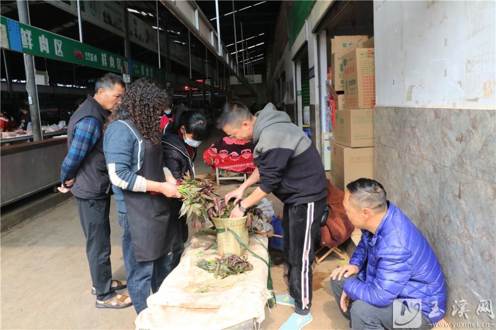 香椿背到市场就被抢购一空