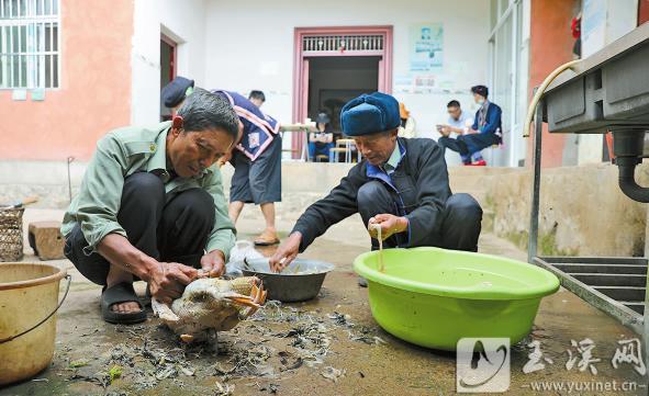 摩批念经祈福完毕，大家开始宰杀鸡鸭。