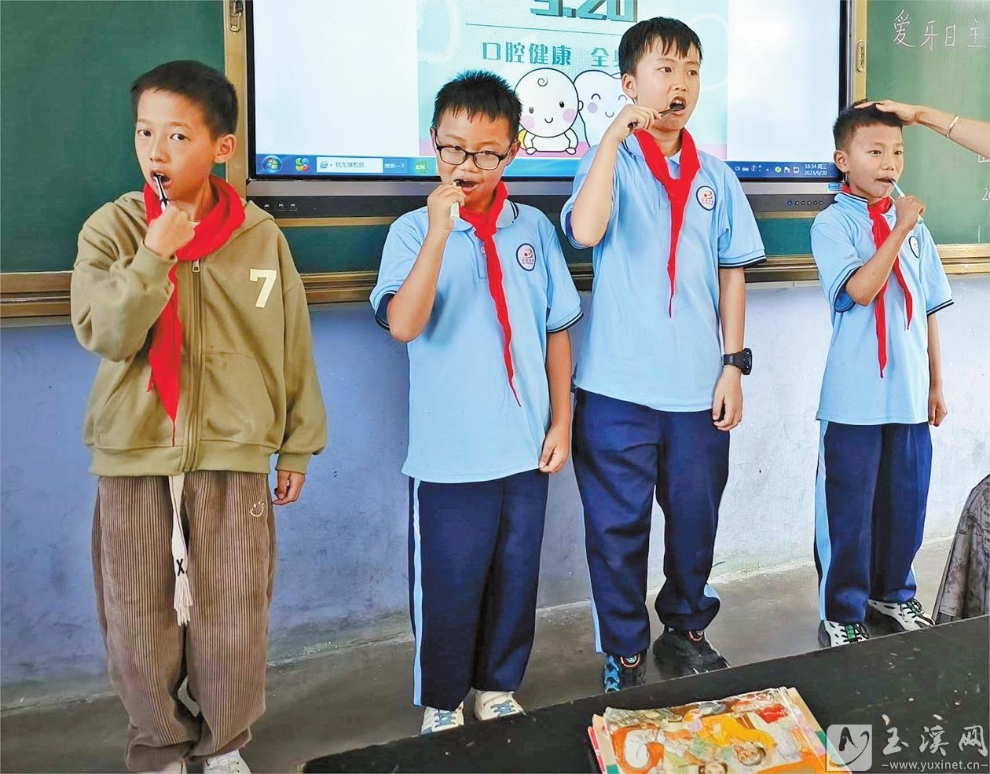 学习正确的刷牙方式。