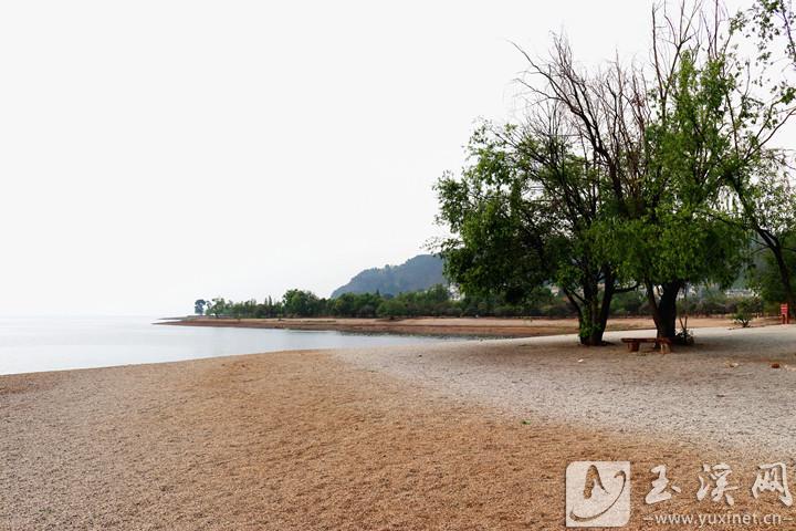 蜿蜒的湖岸与植被的浪漫交织，构筑了湾子沟独特的风景线。