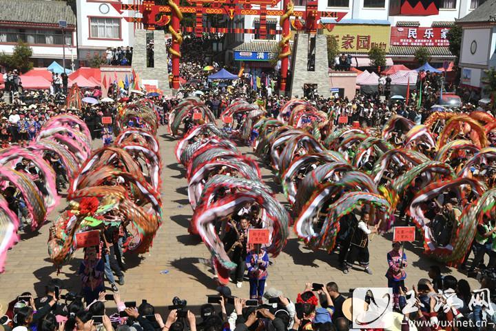 峨山“开新街”，舞龙闹新春。（玉溪日报全媒体记者 催永红）