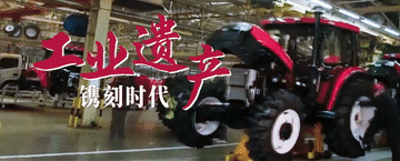 105012025051900021965.gif