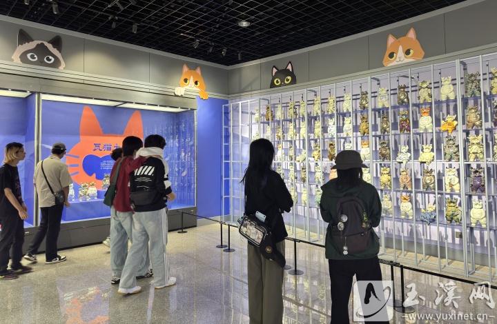 瓦猫作品吸引市民和游客的目光。